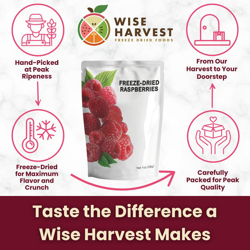 1oz Packs 100% Wise Harvest Freeze-Dried Raspberries Five | Single Ingredient Snack | Real Fruit, No Sugar Added, Just