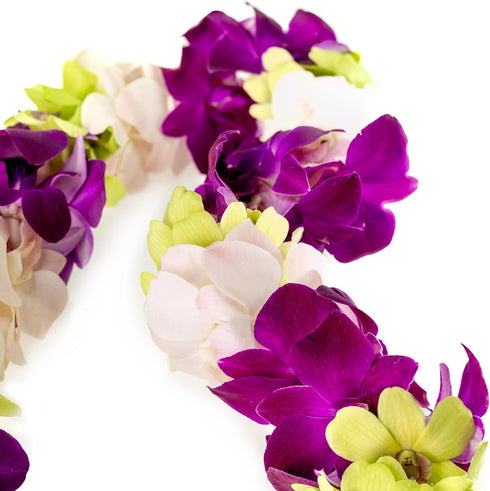 Generic Graduation Leis, Fresh Cut Orchids Flower Leis, Long-lasting double leis made of fresh cut purple, pink