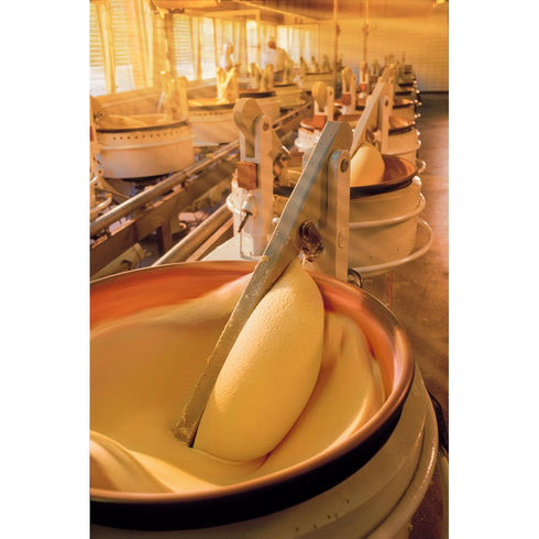 100g (3.5oz) 12 Niederegger Marzipan Potatoes - | pieces per box | Kosher.