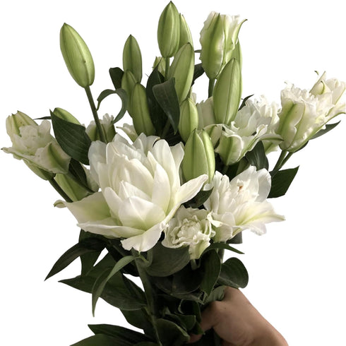 5 stems fresh-cut multi-petal lilies Scented for a long time and good for hydroponic flower arrangements Shipped