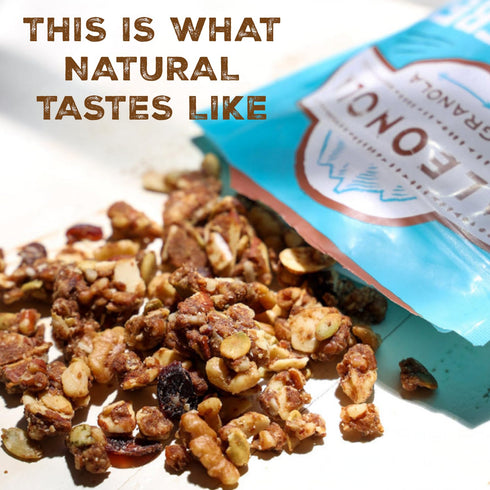 10 Oz (Pack 2) Paleonola Original Grain Free Granola, Resealable Bag of - Grainless Protein Paleo Granola Blended