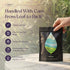 PiPi Tea 20 (4g Organic Oolong Tea Bags Whole Leaf, Bags Each) Cortisol & Calming Tea for Anxiety, Stress, Weight Loss