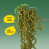 SUNGIVEN 3 2.47 OZ (Pack 10) Organic Ramen Noodles Kale Healthy Low Sodium Ready in Minutes Non-Fried Instant No