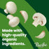 32 oz Pacific Foods Organic Mushroom Broth, Carton