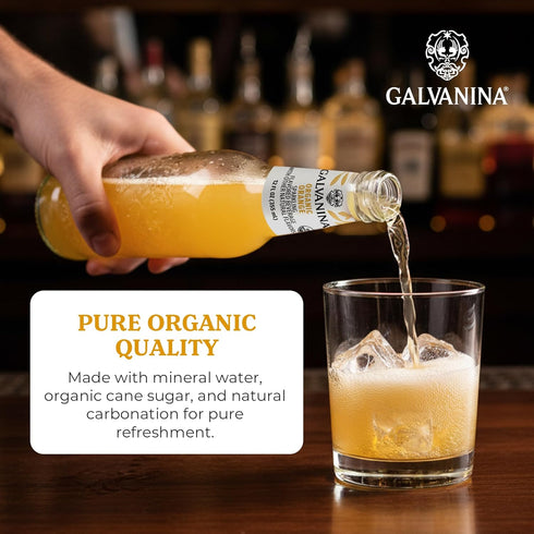 12 oz (Pack 1) Galvanina Orange Premium Organic Italian Sparkling Soda, fl Glass Bottle of | Classic Sicilian Orange