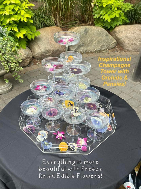 12 0.1 Oz Small Orchid Freeze-Dried Edible Flowers - Edible Dried Flowers for Cocktail Garnish, Cakes Decoration & DIY