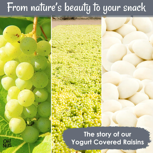 200pcs/1lb Packed Oh! Nuts Yogurt Covered Raisins - - Sweetened Dehydrated Creamy Yogurt Fruit Bites - in New York