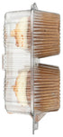 Rubicon Bakery 4 Count, 10 OZ Carrot Cupcake