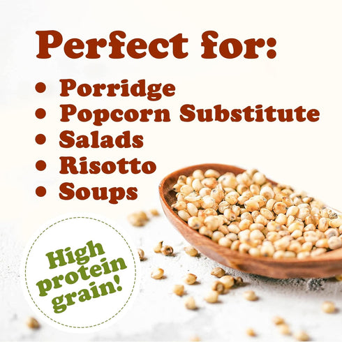 6 Food to Live Organic Italian White Whole Grain Sorghum, Pounds Non-GMO White Groats. Raw Milo Seeds. Vegan, Bulk