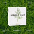 Simply Gum Fennel Plant-Based Chewing Gum Pack of Six (90 Pieces Total) Synthetic Plastic Free + Aspartame Free