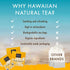 20 Hawaiian Natural Tea Mango Peach Flavored Organic Tea - Tropical Fruit Green and Black Tea Blend - Perfect Daily Cup