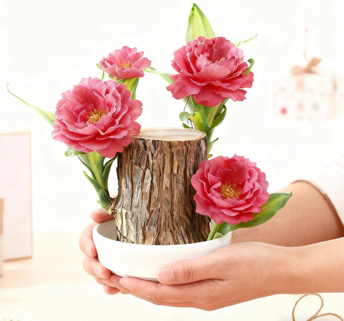 Generic (1, Brazil Wood Plant,Brazilian Lucky Plant,Home and Office Decoration, Desktop Plants,Housewarming Gift