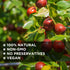 100% 454g (1LB),Packed NESTLADY Premium Jujube Date, Red Date (Hong Zao), Natural, Improve sleep, Health Snack, Dried