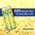 H2 0.0% 12 12 oz o Sauvignon Blanc Silky & Smooth | Alcohol Wine-Infused Sparkling Refreshment | Non-Alcoholic, Low