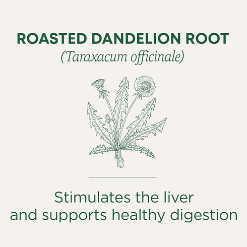 96 (6 Pack) Traditional Medicinals Tea, Organic Roasted Dandelion Root, Supports Kidney Function & Healthy Digestion