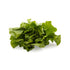 Fresh Produce Organic Butter Lettuce