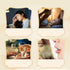 8 (2 24 Dandelion Wolfberry Tea, Natural Herbal Ingredients Blend, Dandelion Teabag Organic, Natural Chinese Wolfberry