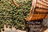 Generic 480g/ 16.93 oz Pine Cone Jam Preserves with Baby Pine Cones by Samsonov and Partners