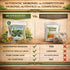 (4 oz) 100% Moronel Herbal Tea - Premium "Planta de la Vida" (Synadenium grantii) - Wildcrafted Loose Leaf Tea from