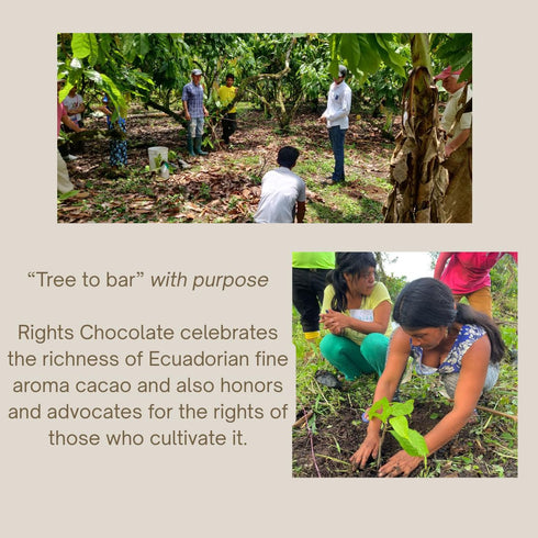70% (10 20g) Ecuadorian Dark Chocolate COCOA CRUNCH Cocoa Nibs & Sea Salt x Fine Aroma Cacao