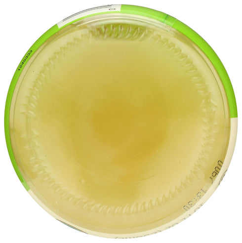 365 10 Oz by Whole Foods Market, Organic Lime Juice, Fl