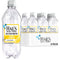 Hal's New York Seltzer Water, Lemon Sparkling Water, 20 Fl Oz Bottle (Pack of 6)