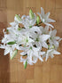 Cassiolina 20) Fresh Cut Asiatic Lily Flowers Elegant Lily Bouquet for Vase Home Decor Wedding Party Floral Arrangement