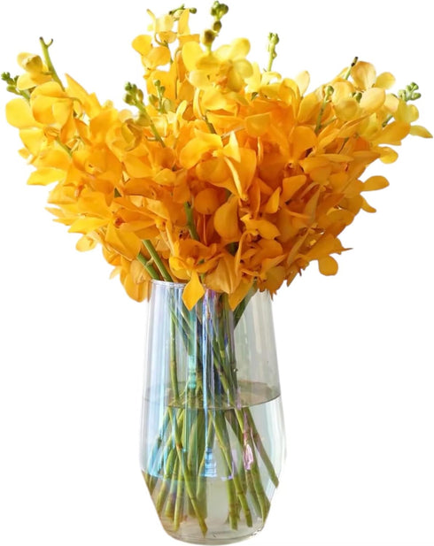 15 Stems Orange Orchids Fresh Cut Flowers Gift Birthday Anniversary Valentine's Day
