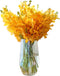 15 Stems Orange Orchids Fresh Cut Flowers Gift Birthday Anniversary Valentine's Day