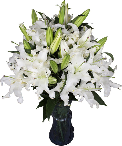 10 stems giant white lilies Fresh Flower Bouquet Gifts for Birthday Anniversary
