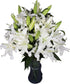 10 stems giant white lilies Fresh Flower Bouquet Gifts for Birthday Anniversary