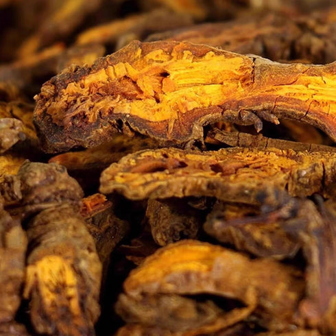 1.06oz (30g) Coptis Chinensis (Huang Lian) Root Whole Pieces, - Dried Whole Herb with Intensely Bitter Taste, Natural