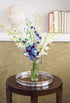 KaBloom - Starry Night in the Tropics Bouquet of Blue and White Orchids from Thailand - Fresh Flowers for Birthday