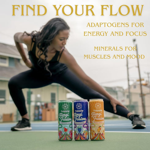 Pack 40 (18 pack, Happie Fungi Fusion Variety Sparkling Adaptogen Drink with Lions Mane, Cordyceps & Red Reishi