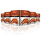 Shan Chicken Tikka Masala Mix (50g), Seasoning Packets for Tikka Masala, Pack of 6