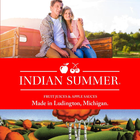 Summer Packed 4 4 Indian Single Serve Cinnamon Apple Sauce, Individually Applesauces, Single Cups, Ounces Each