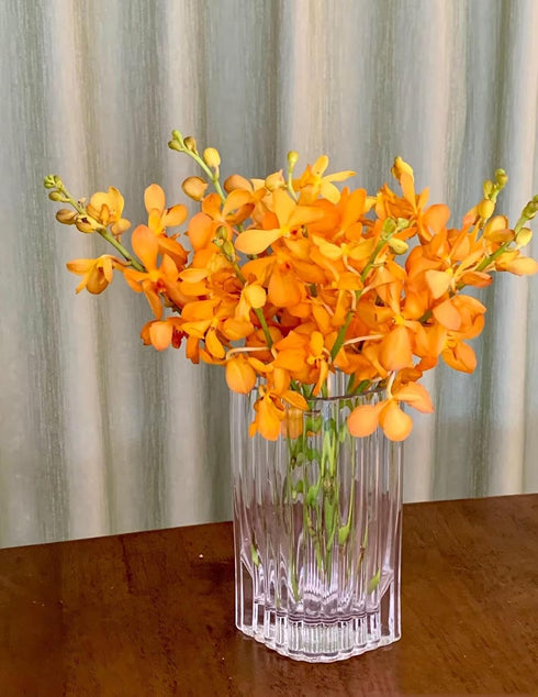 15 Stems of Fresh Orange Orchids - Perfect Gift for Any Occasion