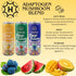 Pack 40 (18 pack, Happie Fungi Fusion Variety Sparkling Adaptogen Drink with Lions Mane, Cordyceps & Red Reishi