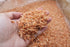 Grand Gift (1LB 16oz) Dried Japanese Seafood Small Juvenile Prawns Shrimps Acetes Free Worldwide AIR Mail