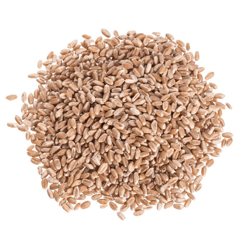 Hard Red Spring Wheat Berries - Whole Grain Wheat Berries - Nutty