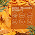 King's Selection 2.5Pounds Packaging) x Kirkland Signature Organic Dried Mango - (in Family Bundle Bulk - Healthy Snack