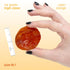 (2 LB) Arashan Apricots Delicious Dried Apricot Fruit, MOST Delectable Dry Apricot In The World! Grown In The Ferghana
