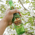 12oz 12 Pack Freddies Old Fashioned Soda - Root Beer Bottles - - Made with Natural Herbs, Oil of Birch and Imported