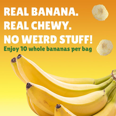 100% 10 oz BranchOut Chewy Banana Slices, No Added Sugar, Fruit, Better than Freeze Dried Banana Chips, Healthy Vegan