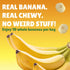 100% 10 oz BranchOut Chewy Banana Slices, No Added Sugar, Fruit, Better than Freeze Dried Banana Chips, Healthy Vegan