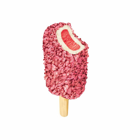 6 Count 18 oz (Frozen) Van Leeuwen Strawberry Shortcake Ice Cream Bars