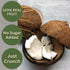 1oz Packs 100% Wise Harvest Freeze-Dried Tropical Fruit Bundle - Six | Single Ingredient Snack | Real Fruit, No Sugar