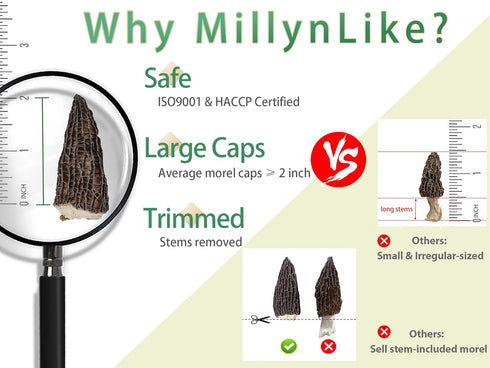 Trimmed (2+ Inches) 2oz Grade100% MillynLike Dried Morel Mushrooms Stems & Large Caps | Gourmet Morchella Conica