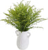 20 Vibrant Solidago Carzan Glory Bouquets for Home Decor & Special Occasions