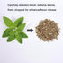 MOCKRAND 4.23 Oz/120g Premium Vervain Herb Cut & Sifted, | Dried Loose Leaf for Tea | Resealable Pouch